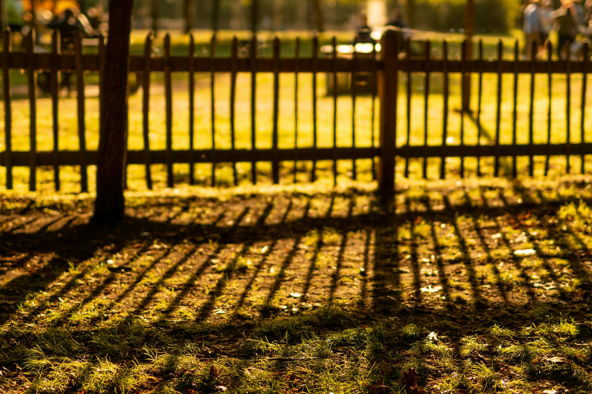 Top 6 Durable Fencing Options for Harsh Climates